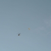 1st Operation Toy Drop 036